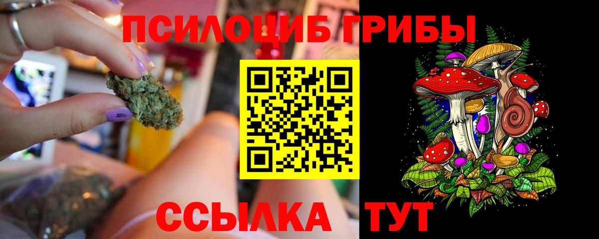 Галлюциногенные грибы Psilocybe  Вход с VPN  Ковров 